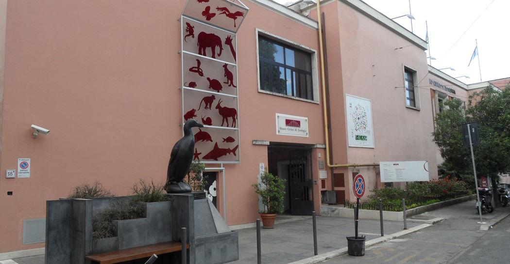 Biodiversità Ritratta
